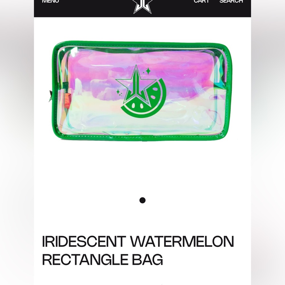 BRAND NEW Watermelon wealth rectangle bag.